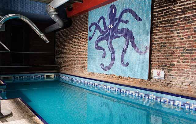 octopus sauna annecy